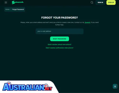 Spinaconda Casino Problems Logging In