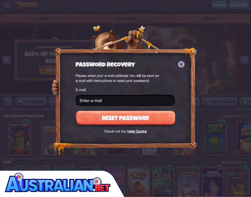 Bearo Problems Logging In